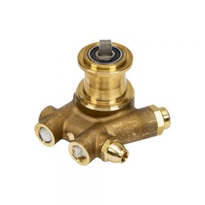 Brass Procon Pump