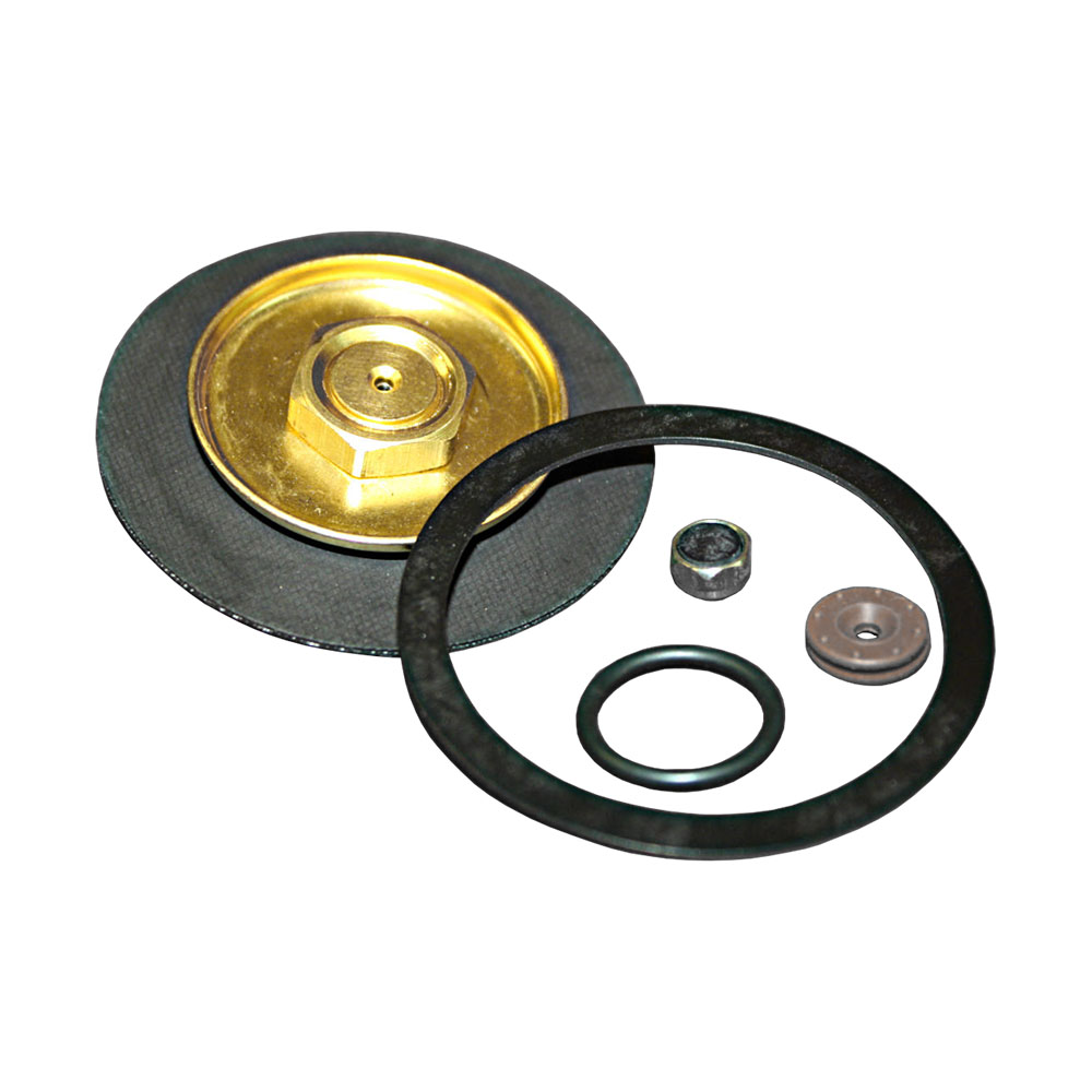 Kit Repair Regulator Primary Ernest F Mariani Co.